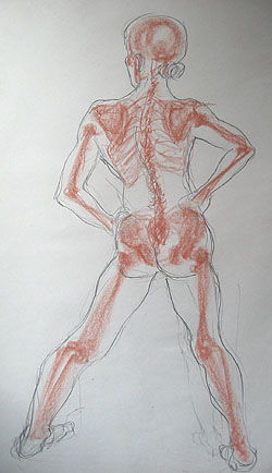 anatomy01.jpg